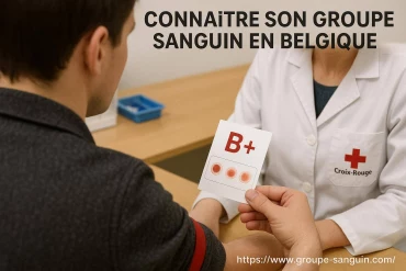 Connaître son groupe sanguin en Belgique : guide pratique et démarches