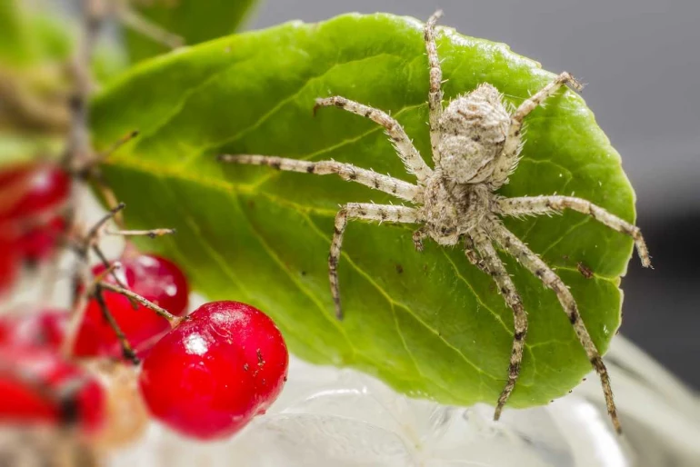 Comment fonctionnent les groupes sanguins et pourquoi sont-ils importants