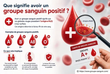 Que signifie avoir un groupe sanguin positif ?