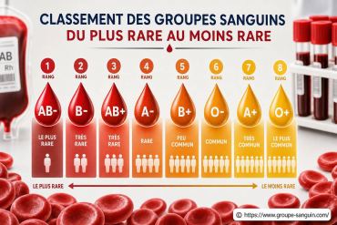 Classement des groupes sanguins du plus rare au moins rare expliqué